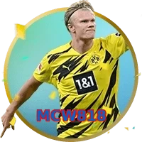 MCW818